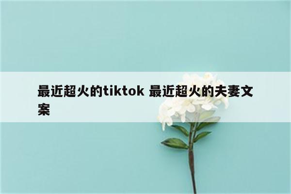 最近超火的tiktok 最近超火的夫妻文案