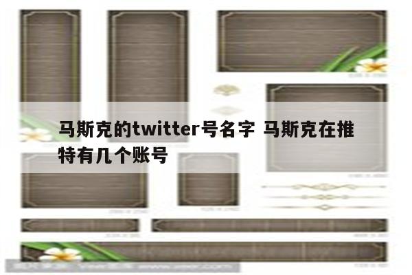 马斯克的twitter号名字 马斯克在推特有几个账号