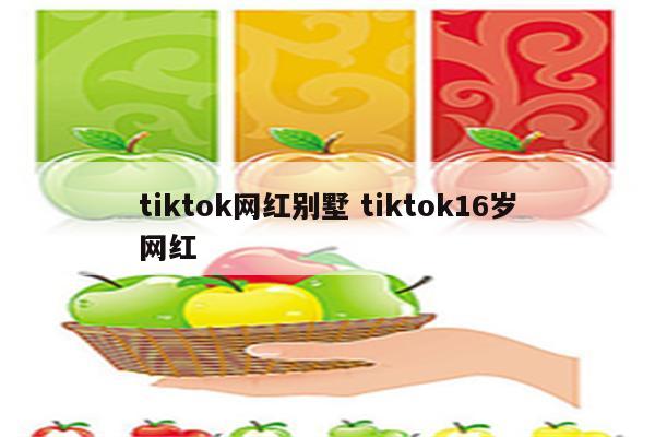 tiktok网红别墅 tiktok16岁网红