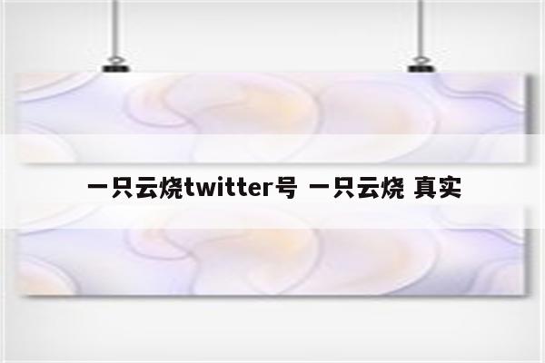 一只云烧twitter号 一只云烧 真实