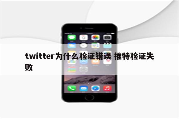 twitter为什么验证错误 推特验证失败