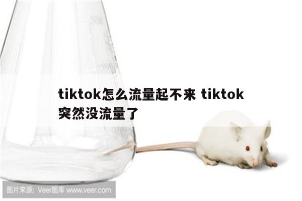 tiktok怎么流量起不来 tiktok突然没流量了