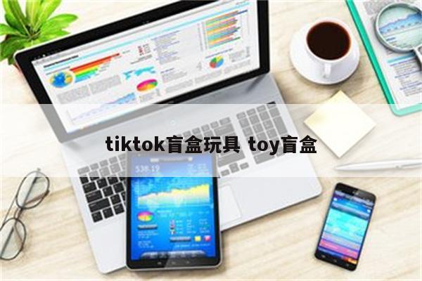 tiktok盲盒玩具 toy盲盒