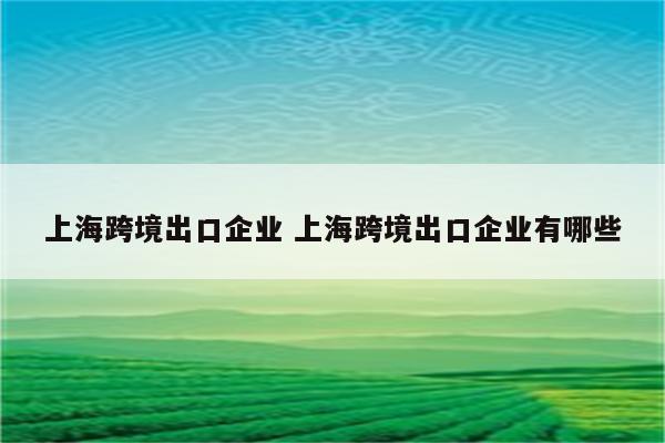 上海跨境出口企业 上海跨境出口企业有哪些