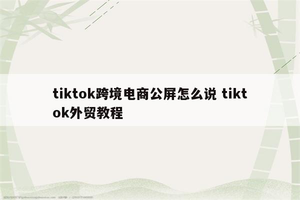 tiktok跨境电商公屏怎么说 tiktok外贸教程