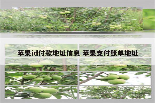 苹果id付款地址信息 苹果支付账单地址