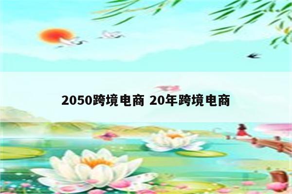 2050跨境电商 20年跨境电商