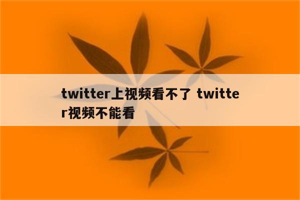 twitter上视频看不了 twitter视频不能看