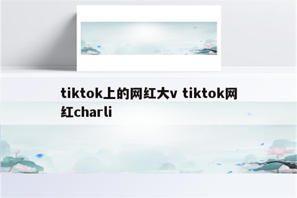 tiktok上的网红大v tiktok网红charli