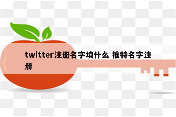 twitter注册名字填什么 推特名字注册