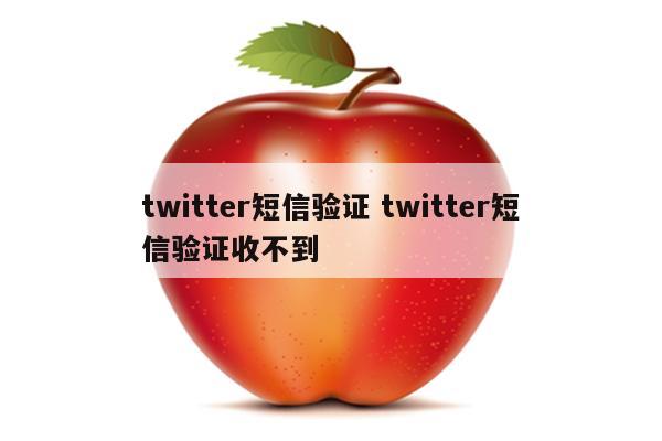 twitter短信验证 twitter短信验证收不到