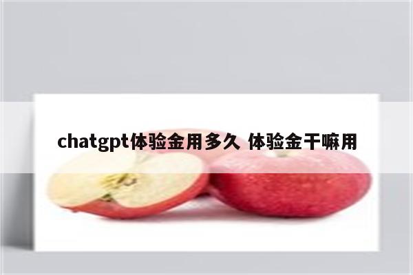 chatgpt体验金用多久 体验金干嘛用