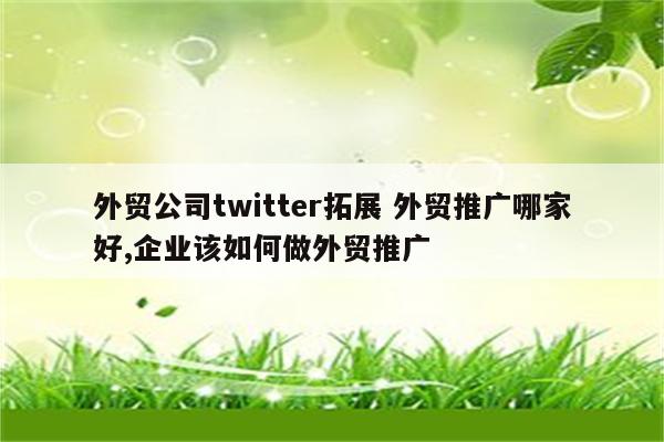 外贸公司twitter拓展 外贸推广哪家好,企业该如何做外贸推广