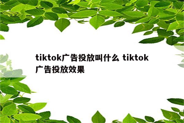 tiktok广告投放叫什么 tiktok广告投放效果