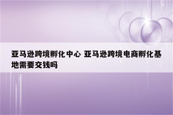 亚马逊跨境孵化中心 亚马逊跨境电商孵化基地需要交钱吗