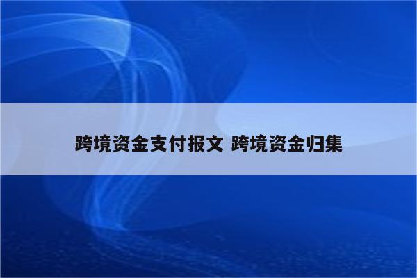 跨境资金支付报文 跨境资金归集