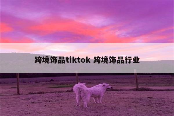 跨境饰品tiktok 跨境饰品行业