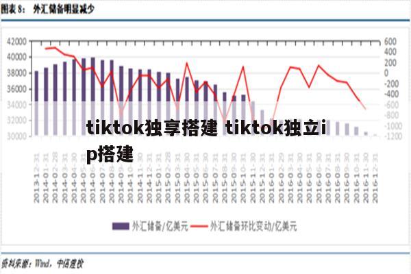 tiktok独享搭建 tiktok独立ip搭建