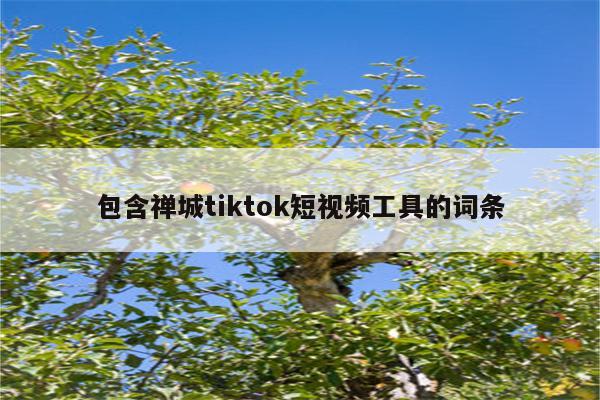 包含禅城tiktok短视频工具的词条