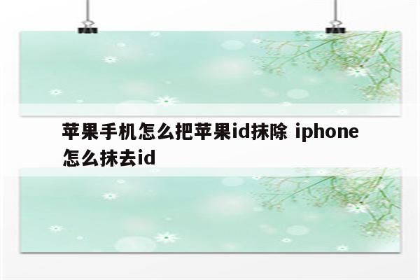 苹果手机怎么把苹果id抹除 iphone怎么抹去id