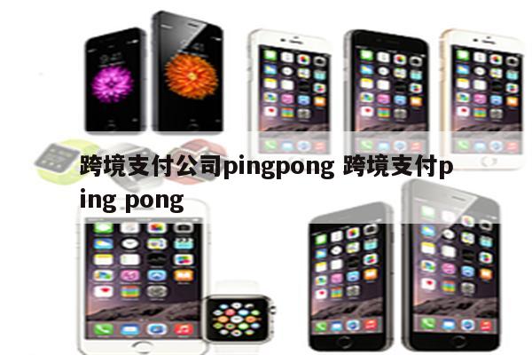 跨境支付公司pingpong 跨境支付ping pong