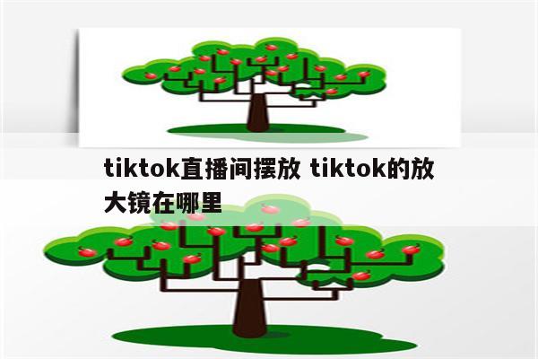 tiktok直播间摆放 tiktok的放大镜在哪里