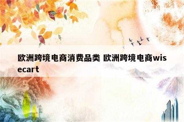 欧洲跨境电商消费品类 欧洲跨境电商wisecart