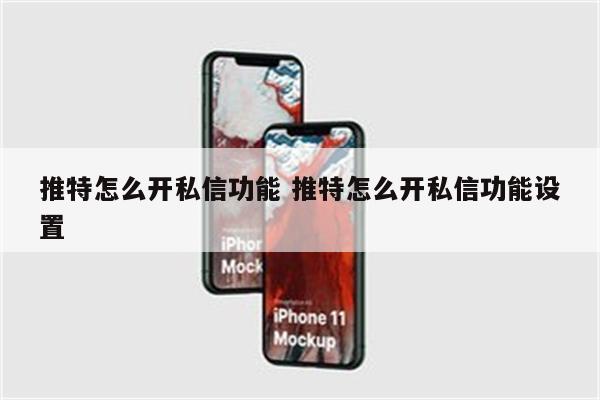 推特怎么开私信功能 推特怎么开私信功能设置