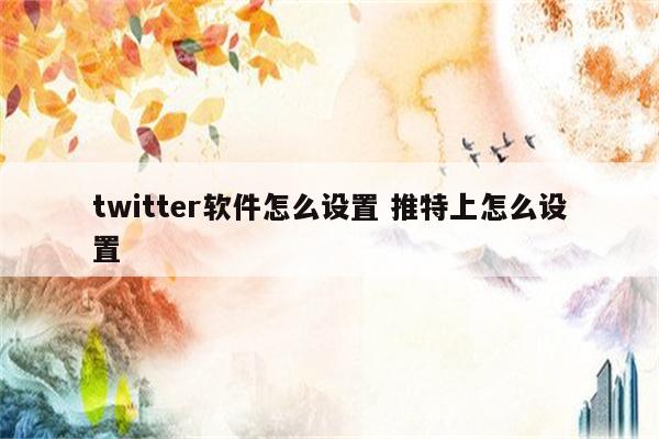 twitter软件怎么设置 推特上怎么设置