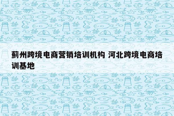 蓟州跨境电商营销培训机构 河北跨境电商培训基地