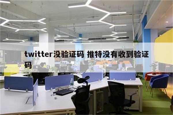 twitter没验证码 推特没有收到验证码