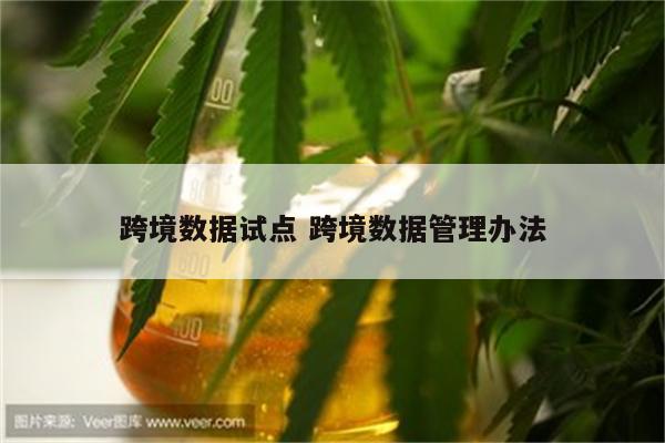 跨境数据试点 跨境数据管理办法