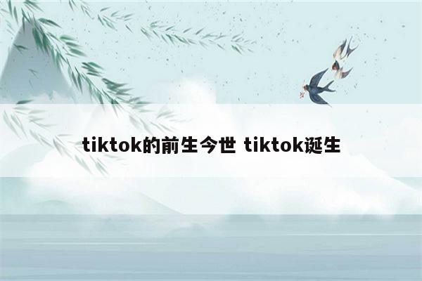 tiktok的前生今世 tiktok诞生