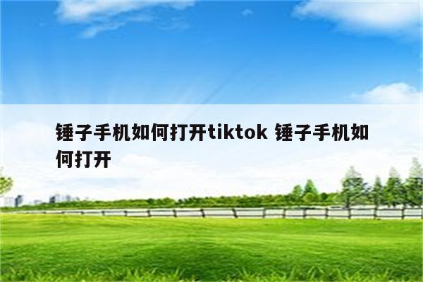 锤子手机如何打开tiktok 锤子手机如何打开