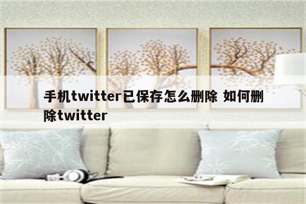 手机twitter已保存怎么删除 如何删除twitter