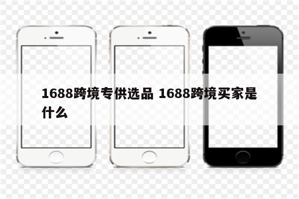 1688跨境专供选品 1688跨境买家是什么