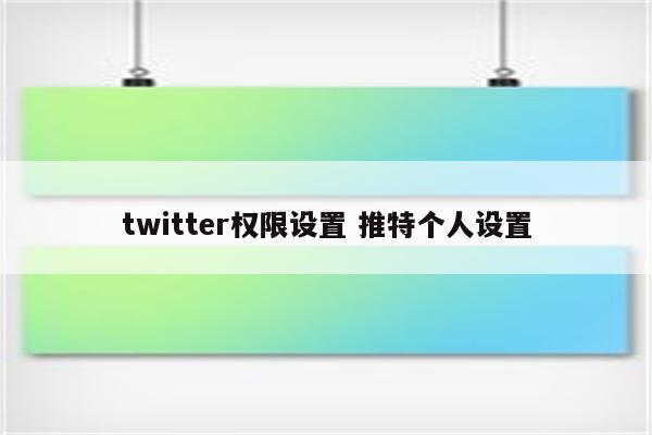 twitter权限设置 推特个人设置