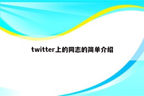 twitter上的同志的简单介绍