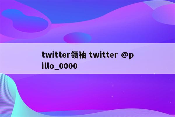 twitter领袖 twitter @pillo_0000