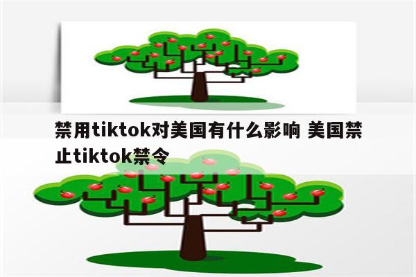 禁用tiktok对美国有什么影响 美国禁止tiktok禁令