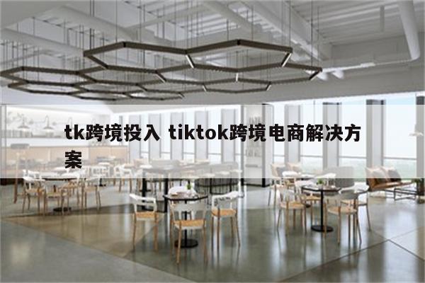 tk跨境投入 tiktok跨境电商解决方案