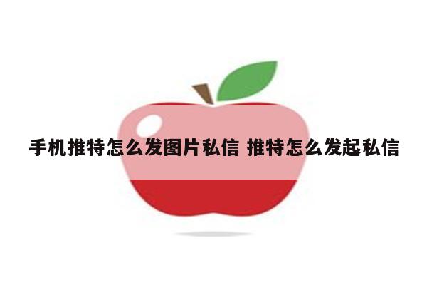 手机推特怎么发图片私信 推特怎么发起私信