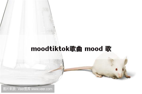 moodtiktok歌曲 mood 歌