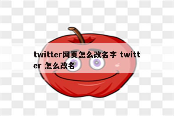 twitter网页怎么改名字 twitter 怎么改名