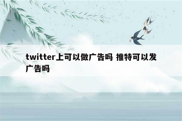 twitter上可以做广告吗 推特可以发广告吗