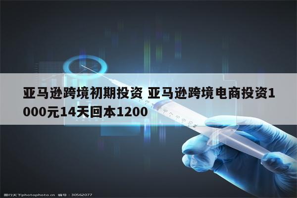 亚马逊跨境初期投资 亚马逊跨境电商投资1000元14天回本1200