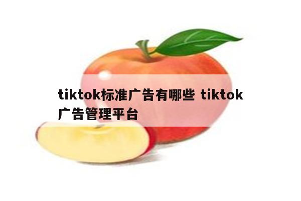 tiktok标准广告有哪些 tiktok广告管理平台