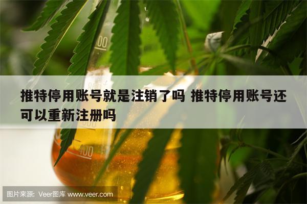 推特停用账号就是注销了吗 推特停用账号还可以重新注册吗