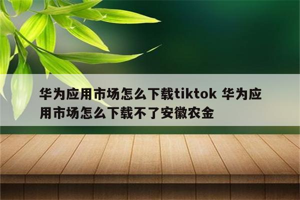 华为应用市场怎么下载tiktok 华为应用市场怎么下载不了安徽农金