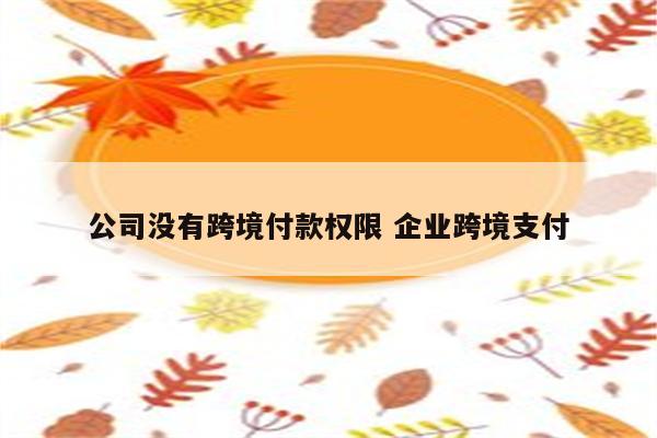 公司没有跨境付款权限 企业跨境支付